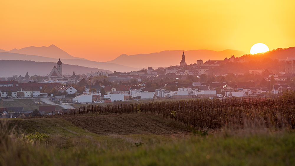 The sun is setting in the orange sky, warm light is filling the horizon, illuminating the small town behind a vineyard in the foreground