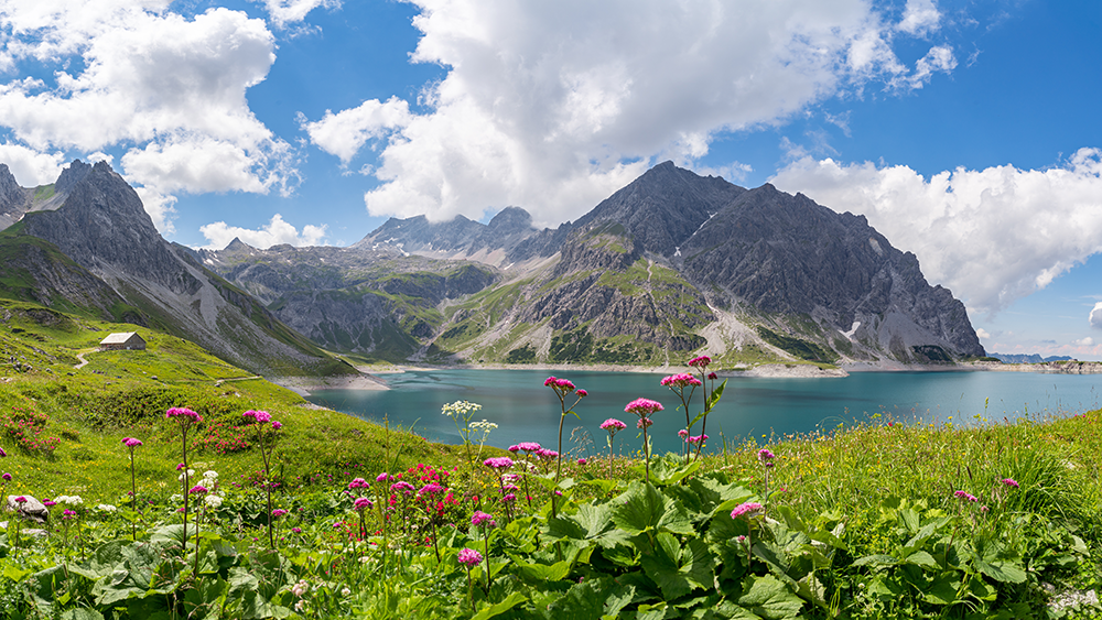 A flower meadow in the foreground, a pristine and refreshing-looking mountain lake and impressive mountain peaks in the background